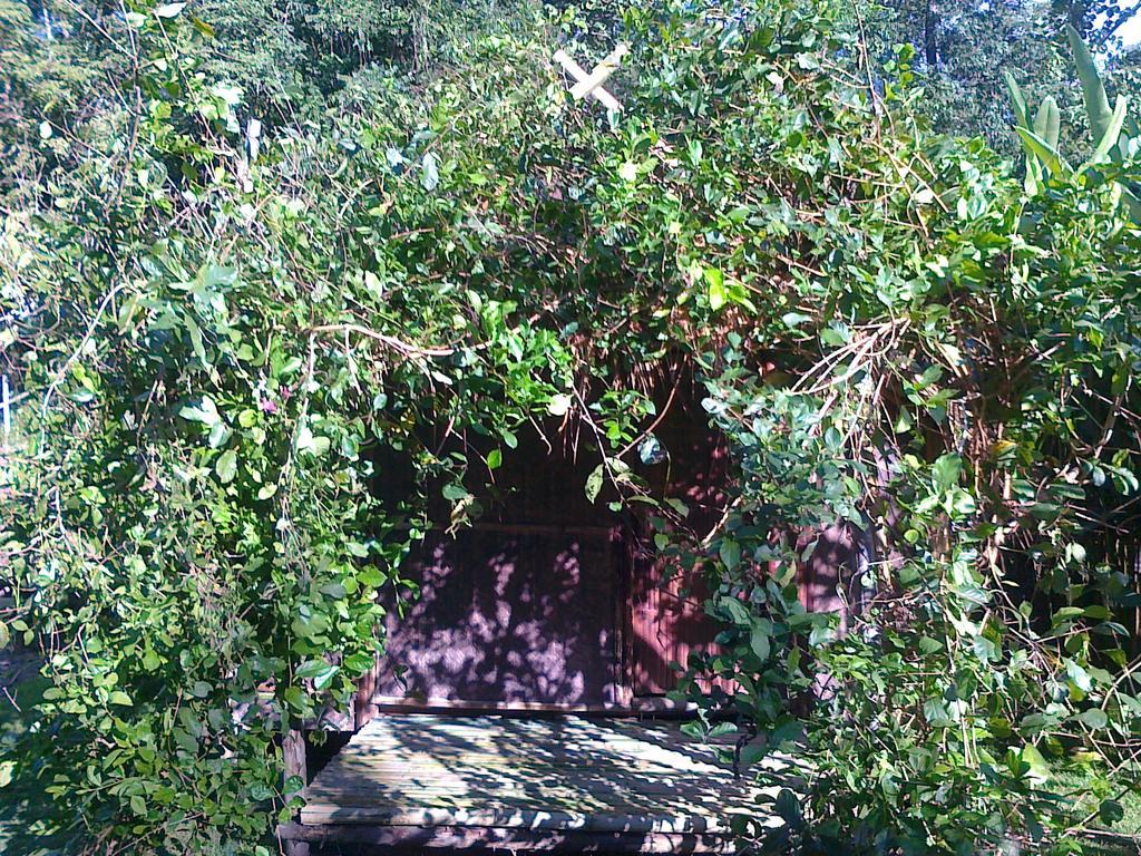 Pai Bamboo Hut Hotell Rum bild