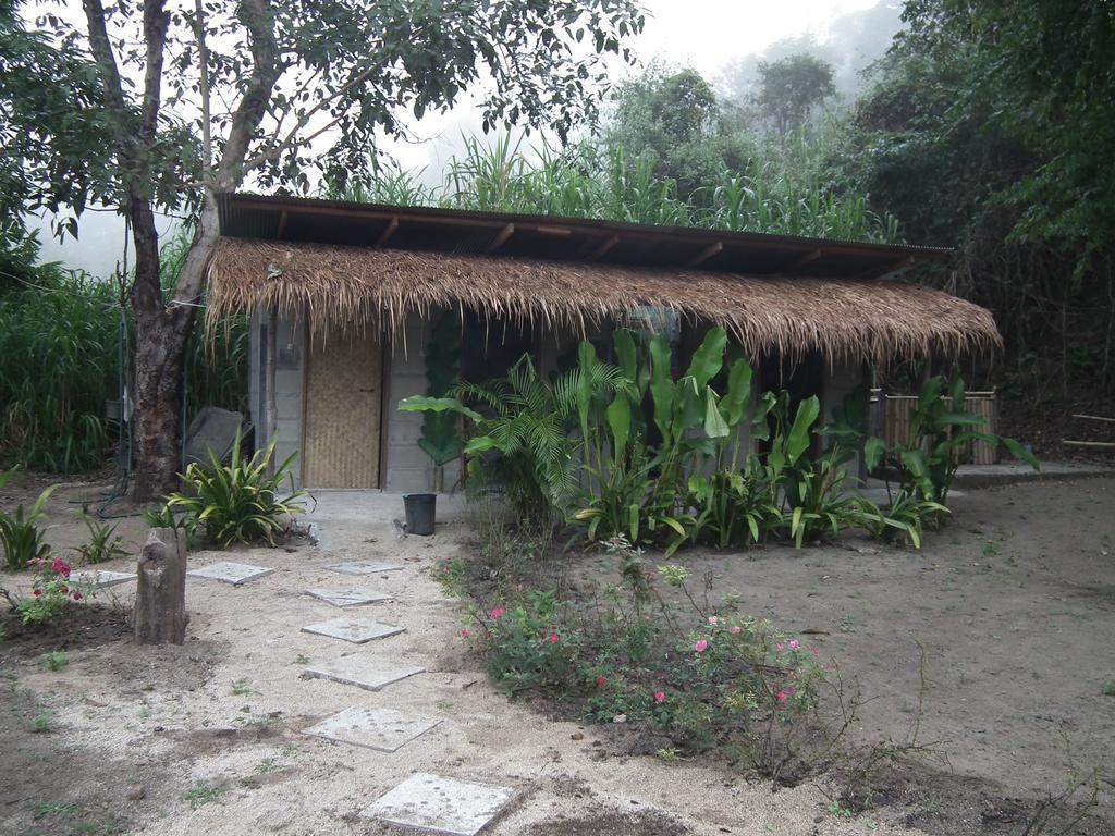 Pai Bamboo Hut Hotell Rum bild