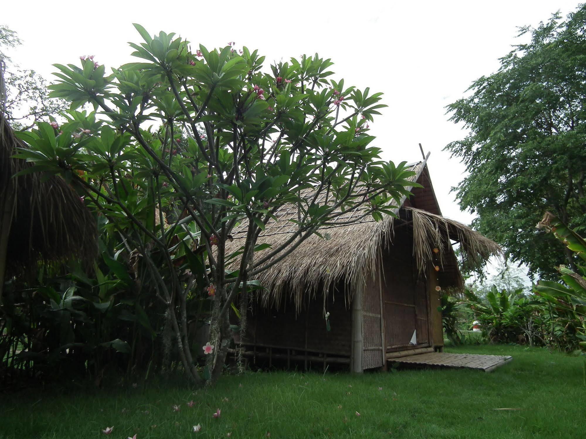 Pai Bamboo Hut Hotell Exteriör bild