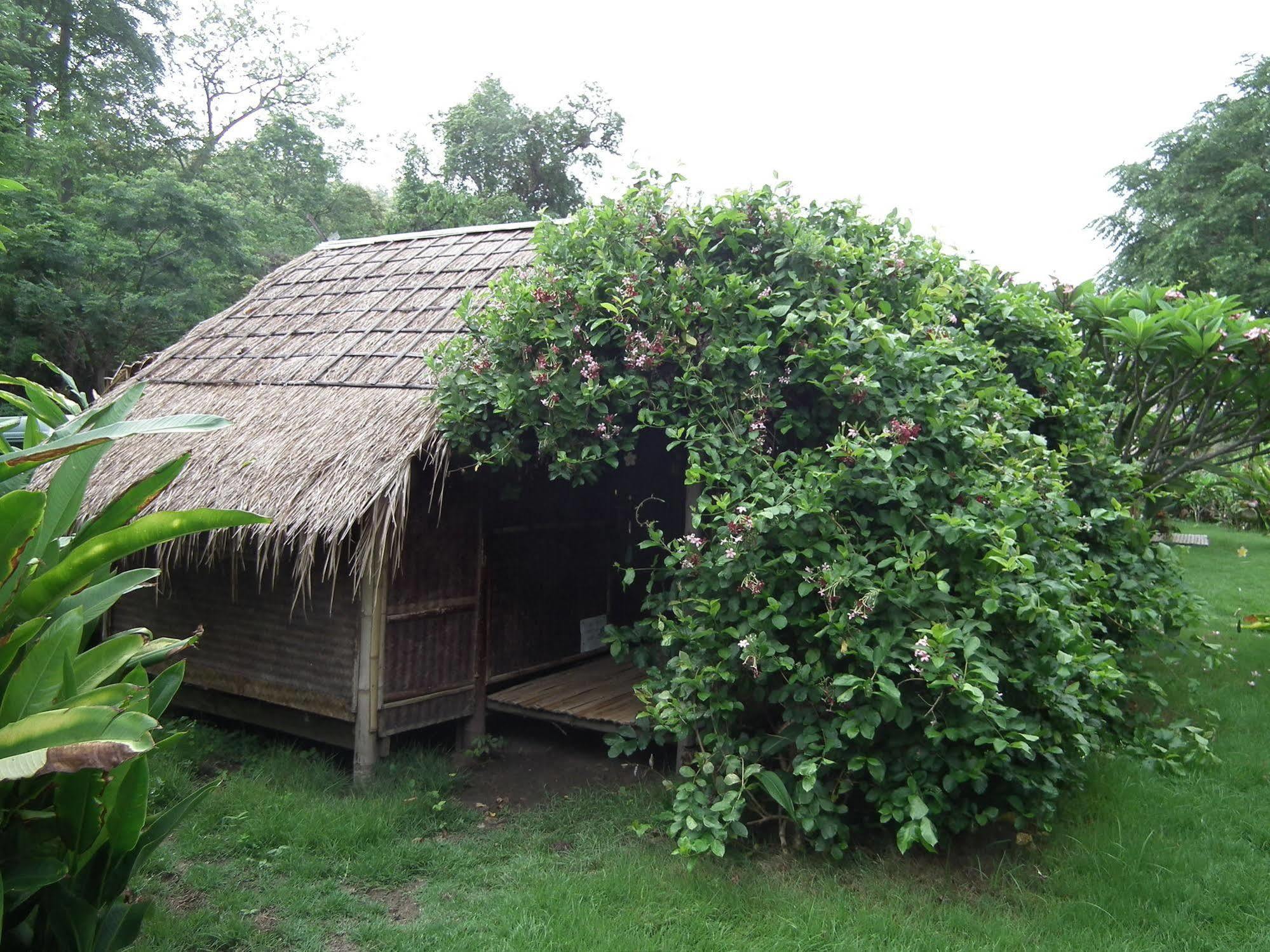 Pai Bamboo Hut Hotell Exteriör bild